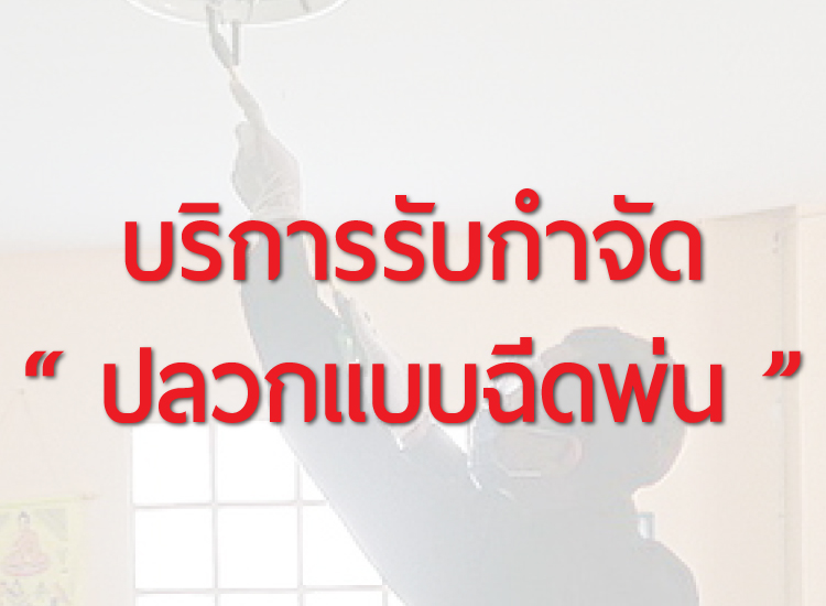 รับกำจัดปลวก