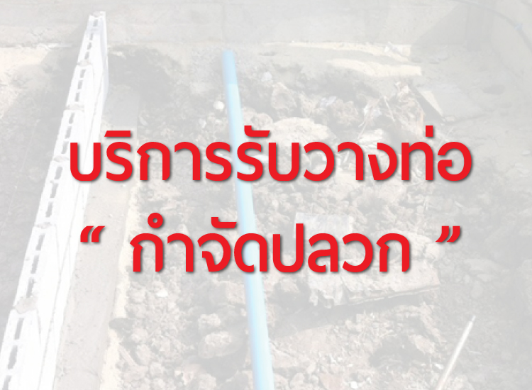 รับกำจัดปลวก