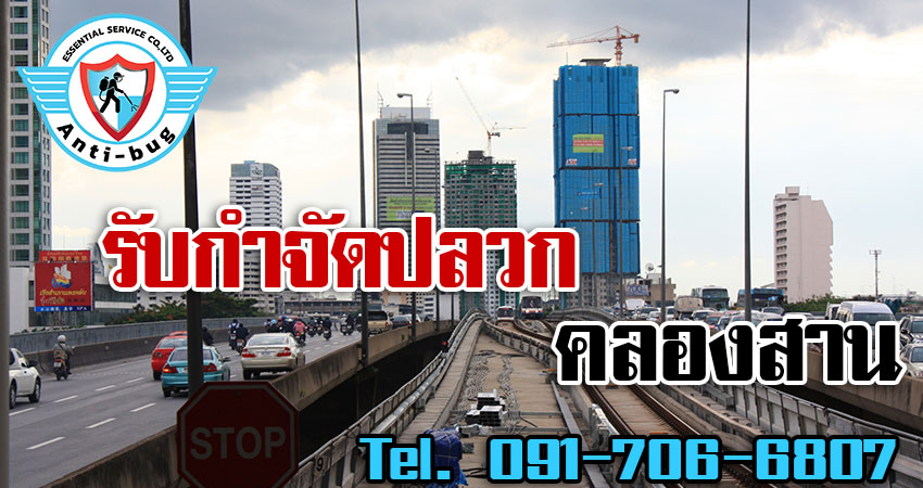 รับกำจัดปลวก