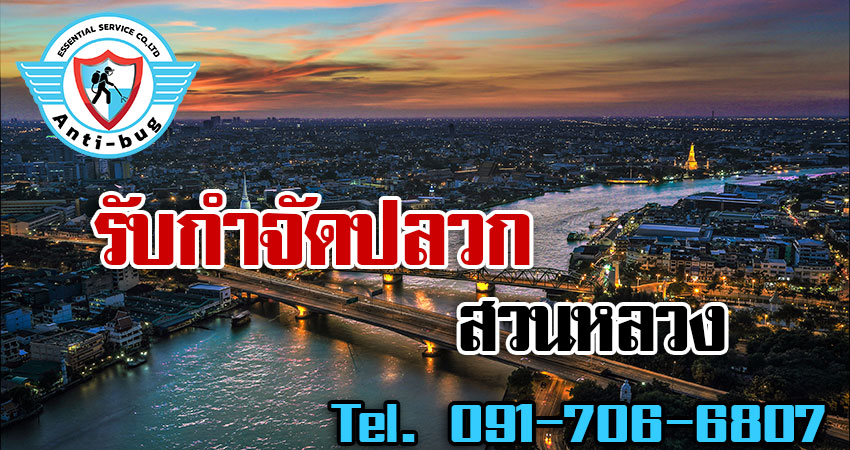 รับกำจัดปลวก